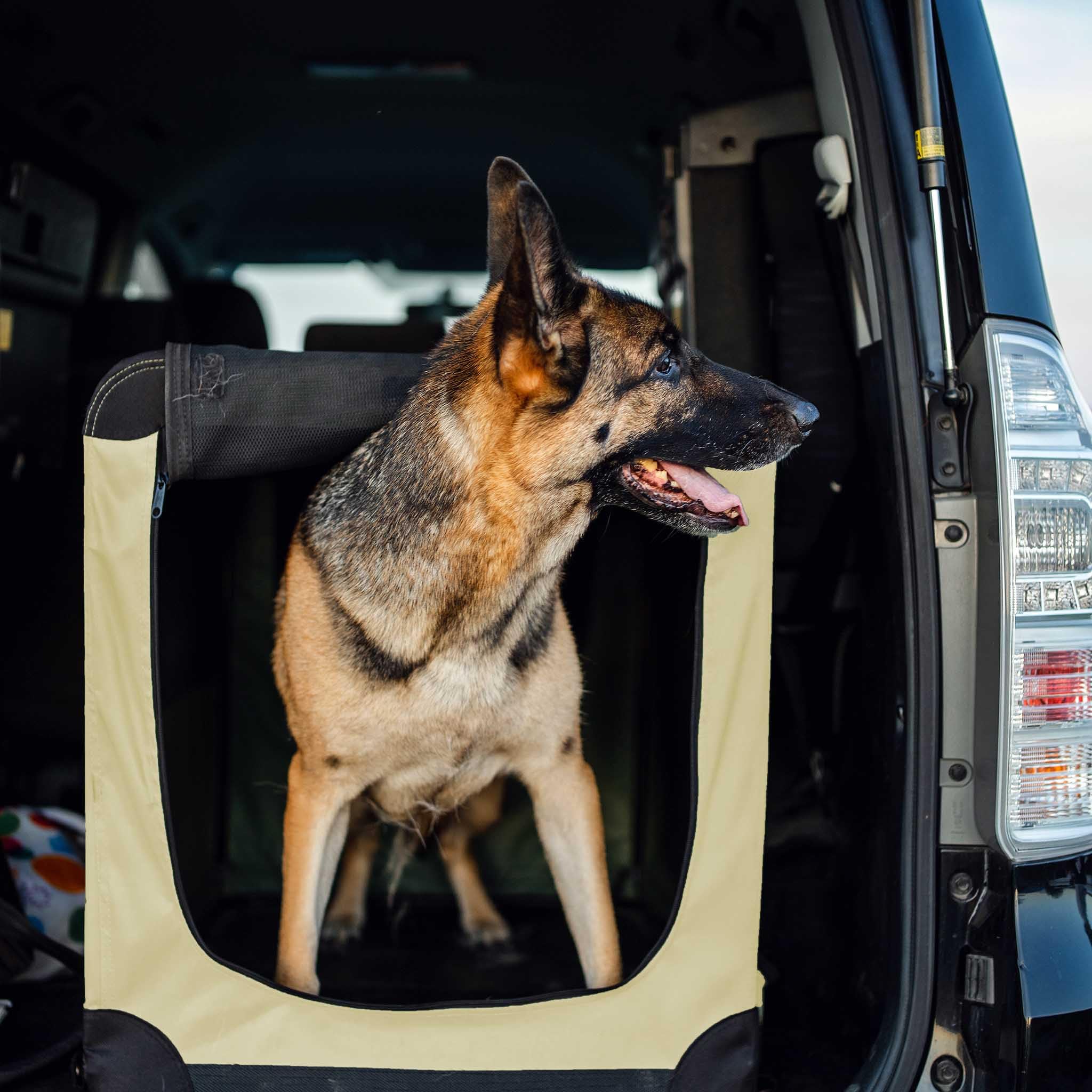 Fudajo Składany transporter dla psa i kota XL 82x56x58 cm beżowy klatka transportowa z poduszką do 20 kg