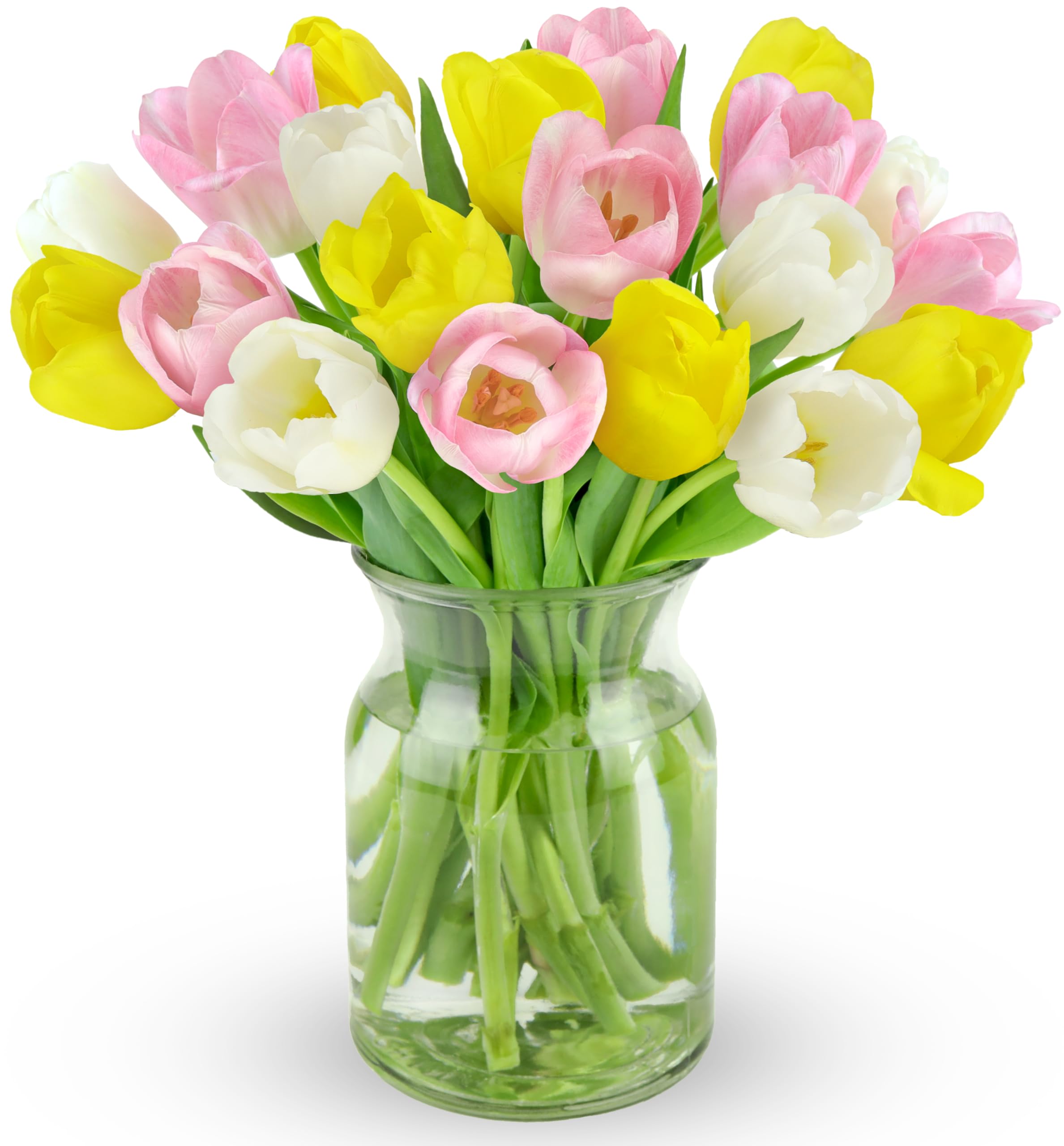 Benchmark Bouquets - Spring Tulips - Yellow, White and Pink Tulips - Fresh Flowers for Delivery - Real Flowers - Birthday Flowers for Women - Congratulations Gift - Glass Vase Included (20 Stems)