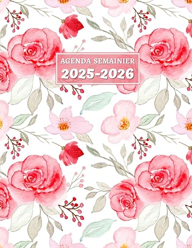 Agenda 2025 2026 semainier: Planificateur Journalier et Mensuel de 2 ans de Janvier 2025 à Décembre 2026