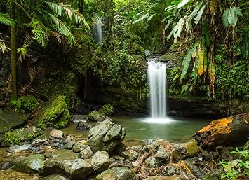 Noah Jigsaw Puzzle Juan Diego Falls, El Yunque, Puerto Rico 1000 Pieces