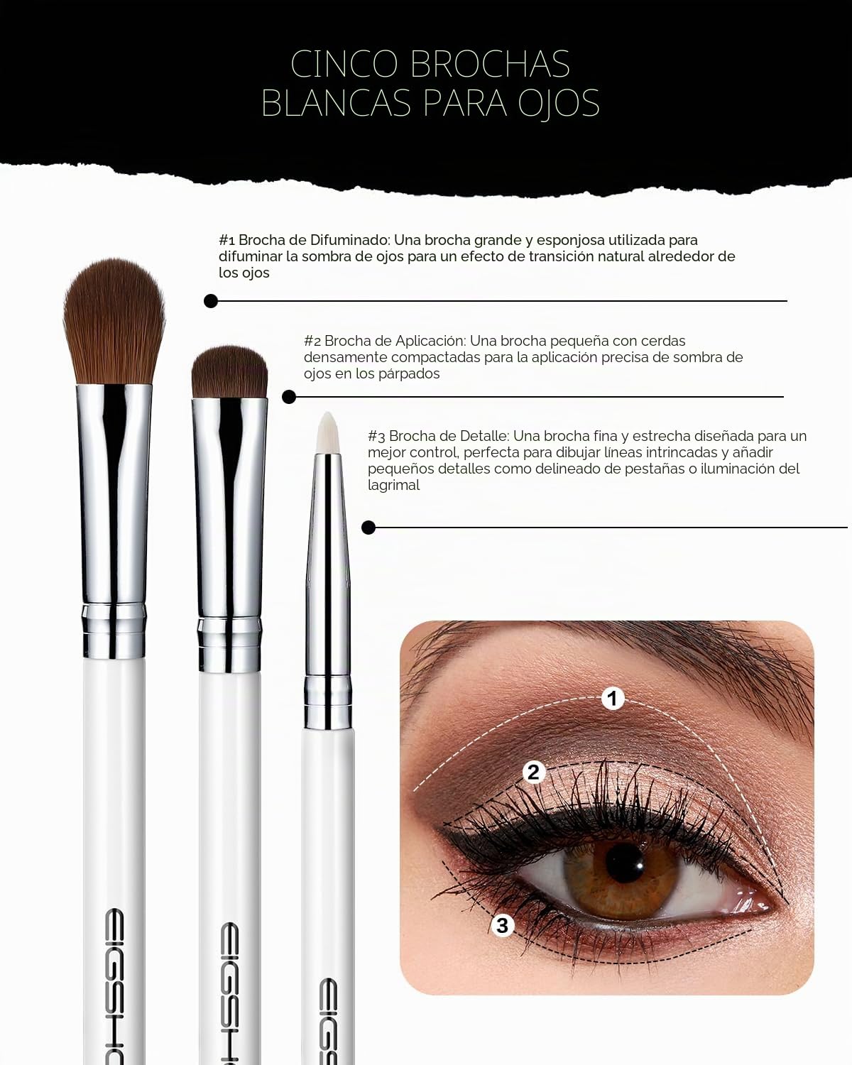 EIGSHOW Juego de 5 brochas para maquillaje de ojos, brocha para delineador de ojos, brocha para cejas, juego de brochas para sombra de ojos (blanco)