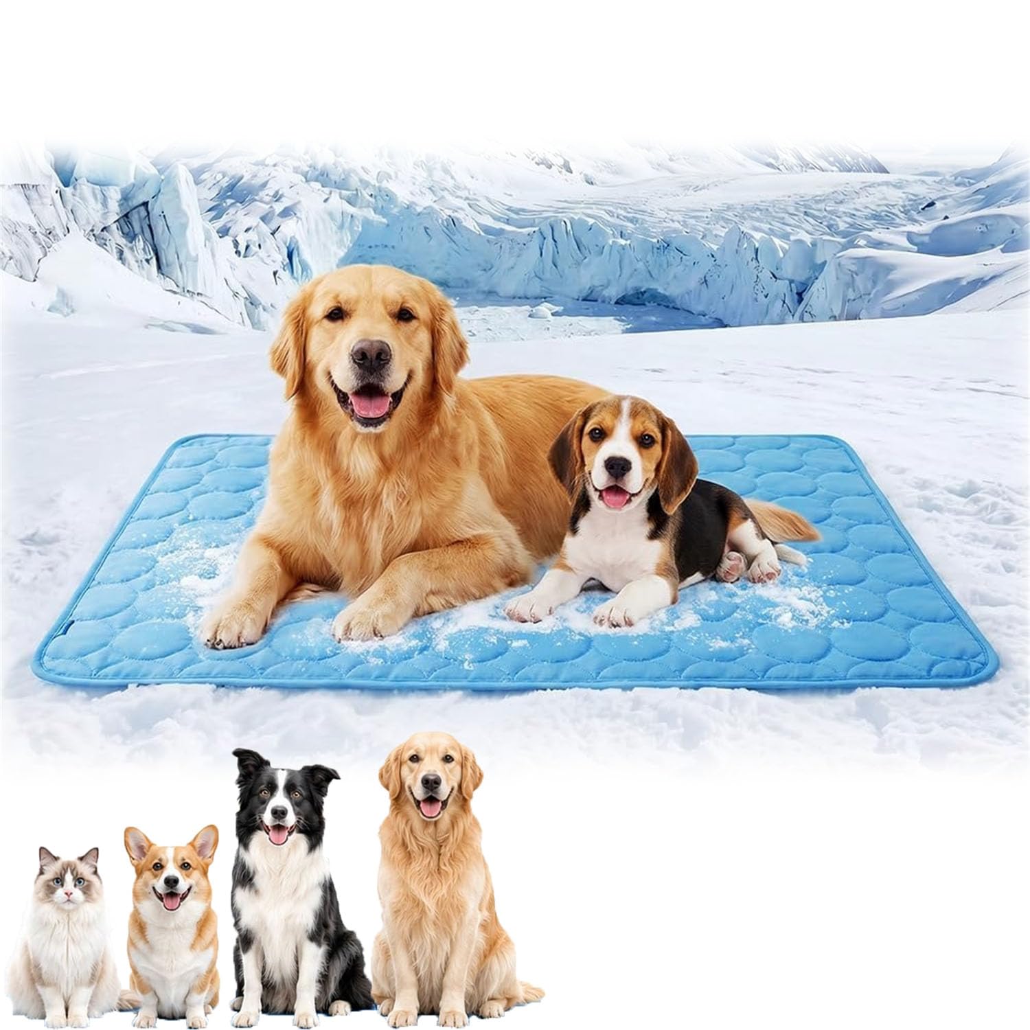 HOLVA Pet Cooling Mat for Dogs Cats, 2026 Upgraded Dog Cooling Mat for Indoor & Outdoor, Comfortable Breathable Ice Silk Summer Pet Cool Pad for Kennel Sofa Bed Floor Car (Blue,Medium)