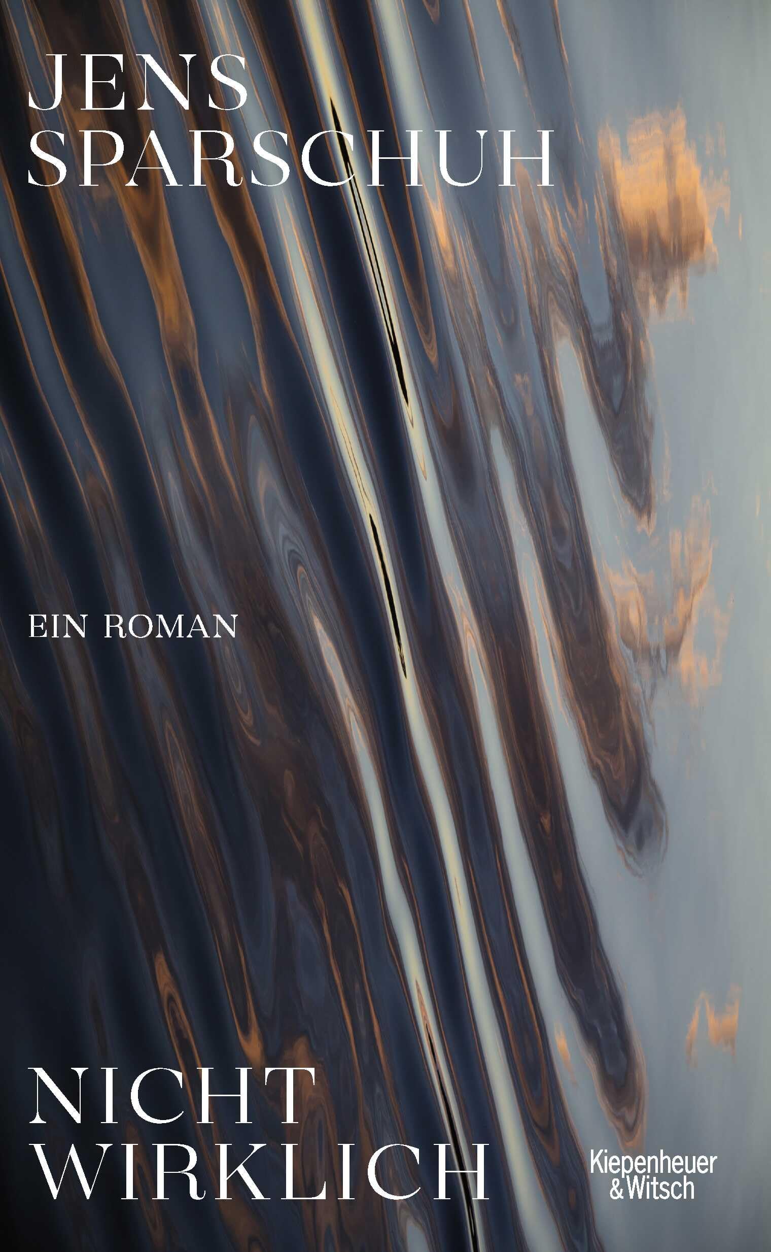 Nicht wirklich: Ein Roman