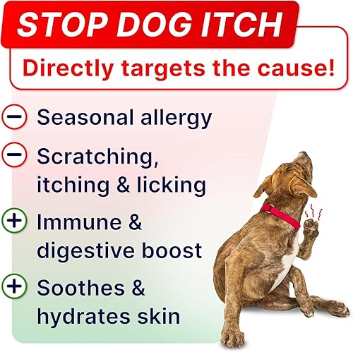 Miniatura 2 de STRELLALAB Masticables para aliviar la alergia para perros y antipicazón con Omega 3: ingredientes reales, sabor real. Suplemento inmunológico para