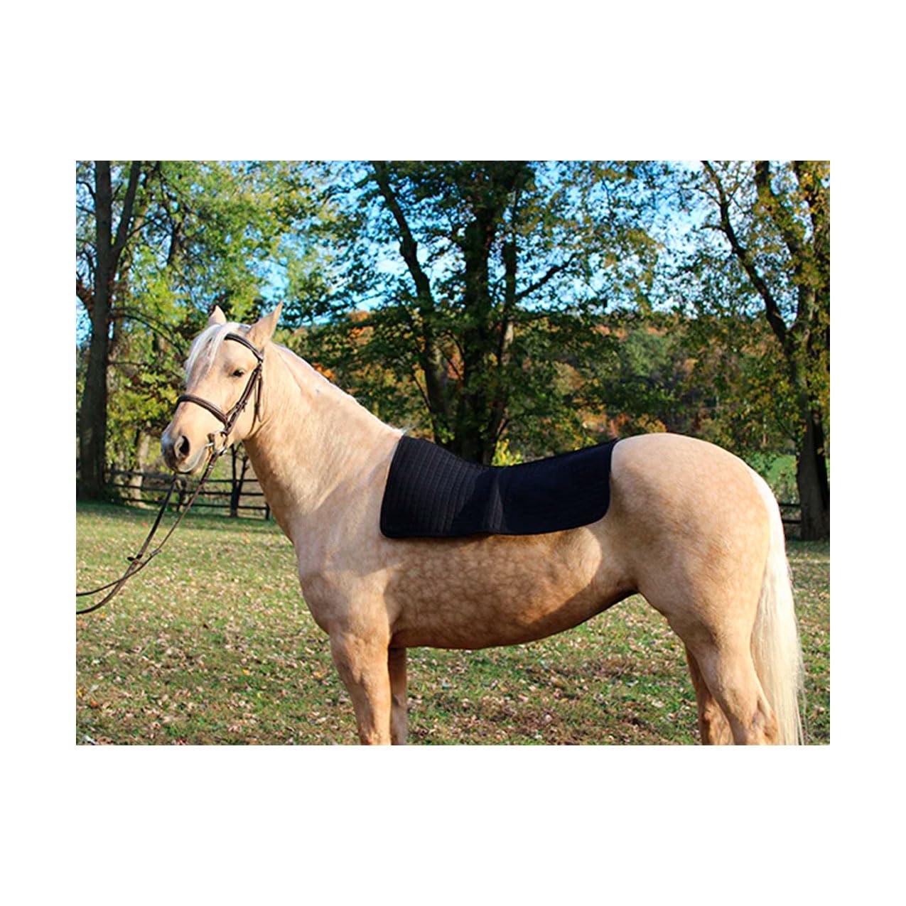 Back on Track Therapeutische Pferd Western Pad, 31 von 30