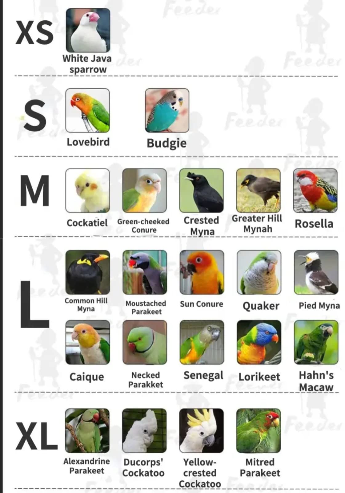 YANQIN Bird Hoodie, Flight Suit for Parrots, Large, White with Hat, Polyester-Cotton, All Life Stages, Bird Apparel