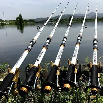 【送料込み】シーバスロッドアジングロッド 楽天市場】振出 アジングロッド フライデーコンパクト アジ