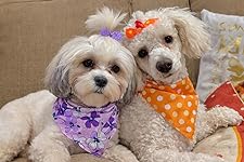 Review Image by Love To Review