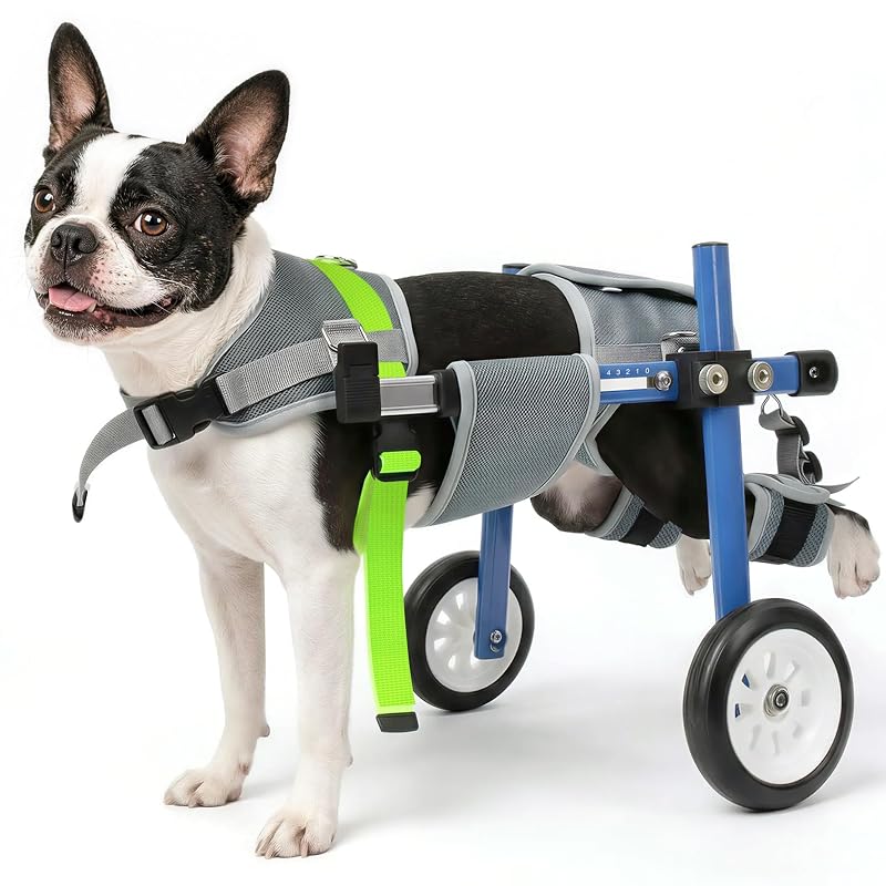 Carrinho de mobilidade ajustável para cães com suporte às patas traseiras LetPetRun, XS, 5–9,1 kg