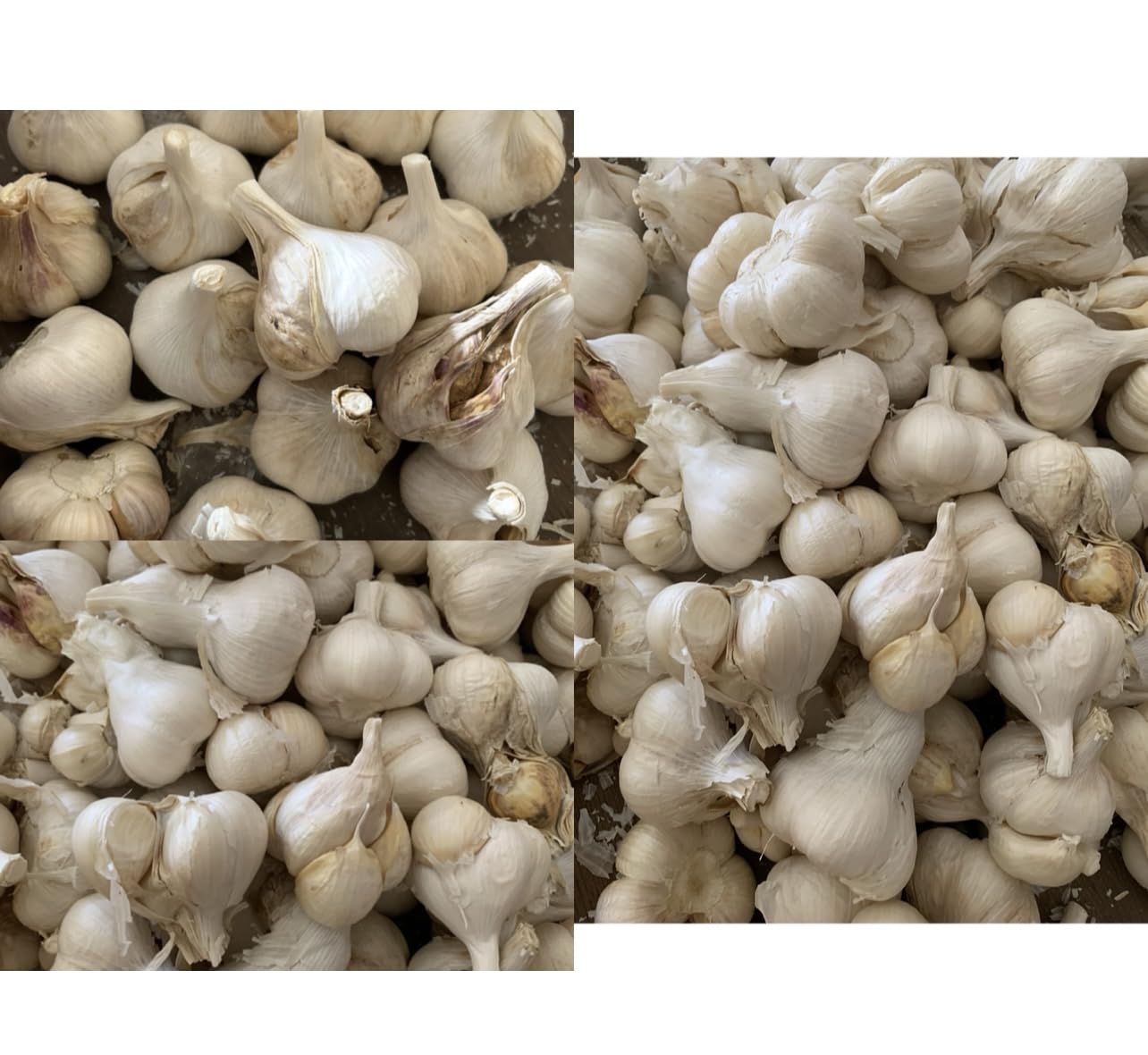 Amazon.co.jp: 青森県産にんにく 業務用にんにく1キロ Lサイズ