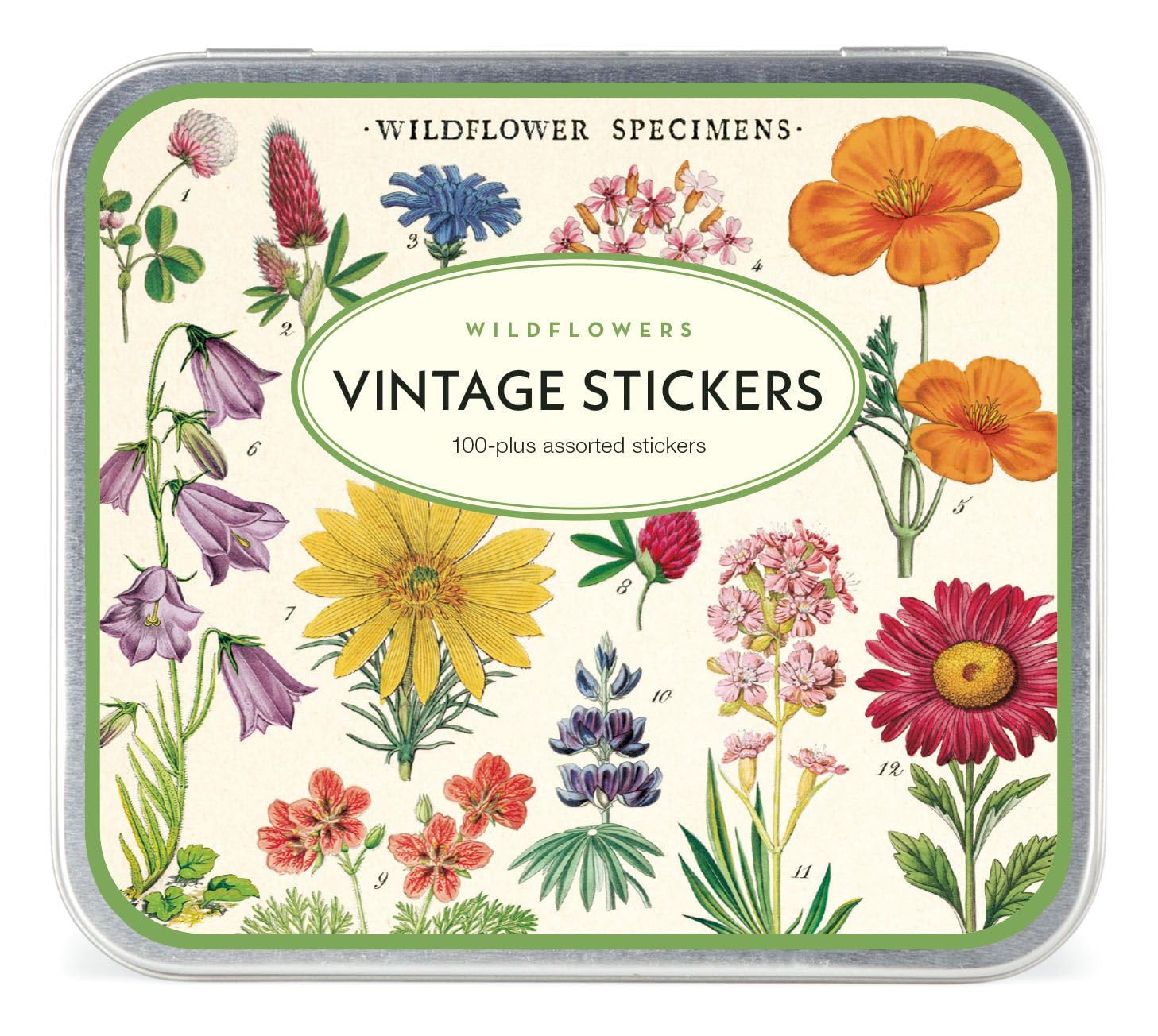 【新品タグ付き】caramel A VINTAGE FLORAL Amazon.com: Cavallini & Co. Wildflowers Vintage Style