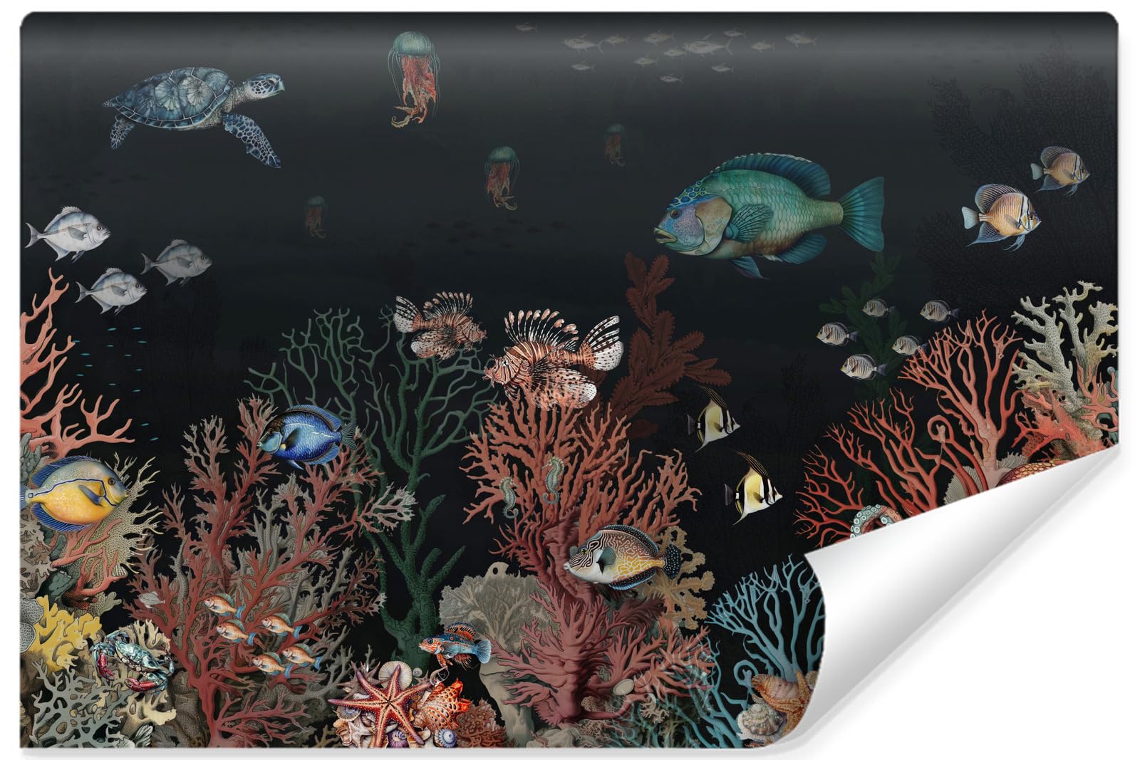 Muralo Papel Pintado en TNT 3D, Coloridos Mundo Submarino - 460x300 cm