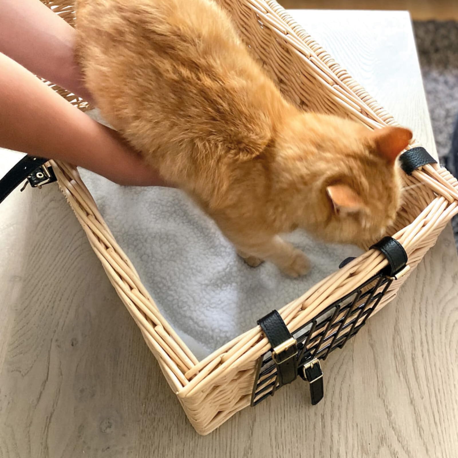 Aumüller Katzentransportkorb aus gesottener Weide - rechteckig