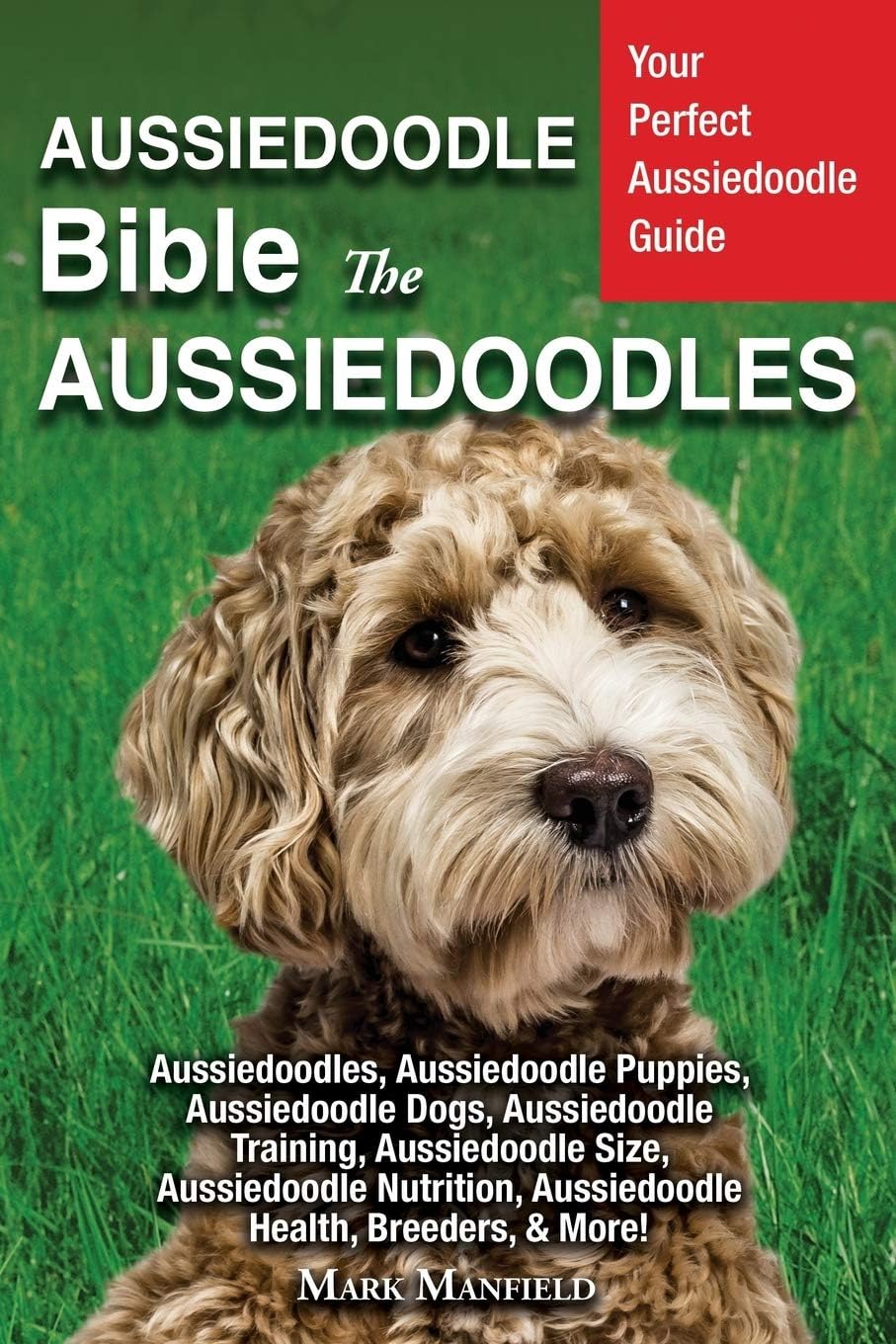 Aussiedoodle Bible And Aussiedoodles: Your Perfect Aussiedoodle Guide Aussiedoodles, Aus