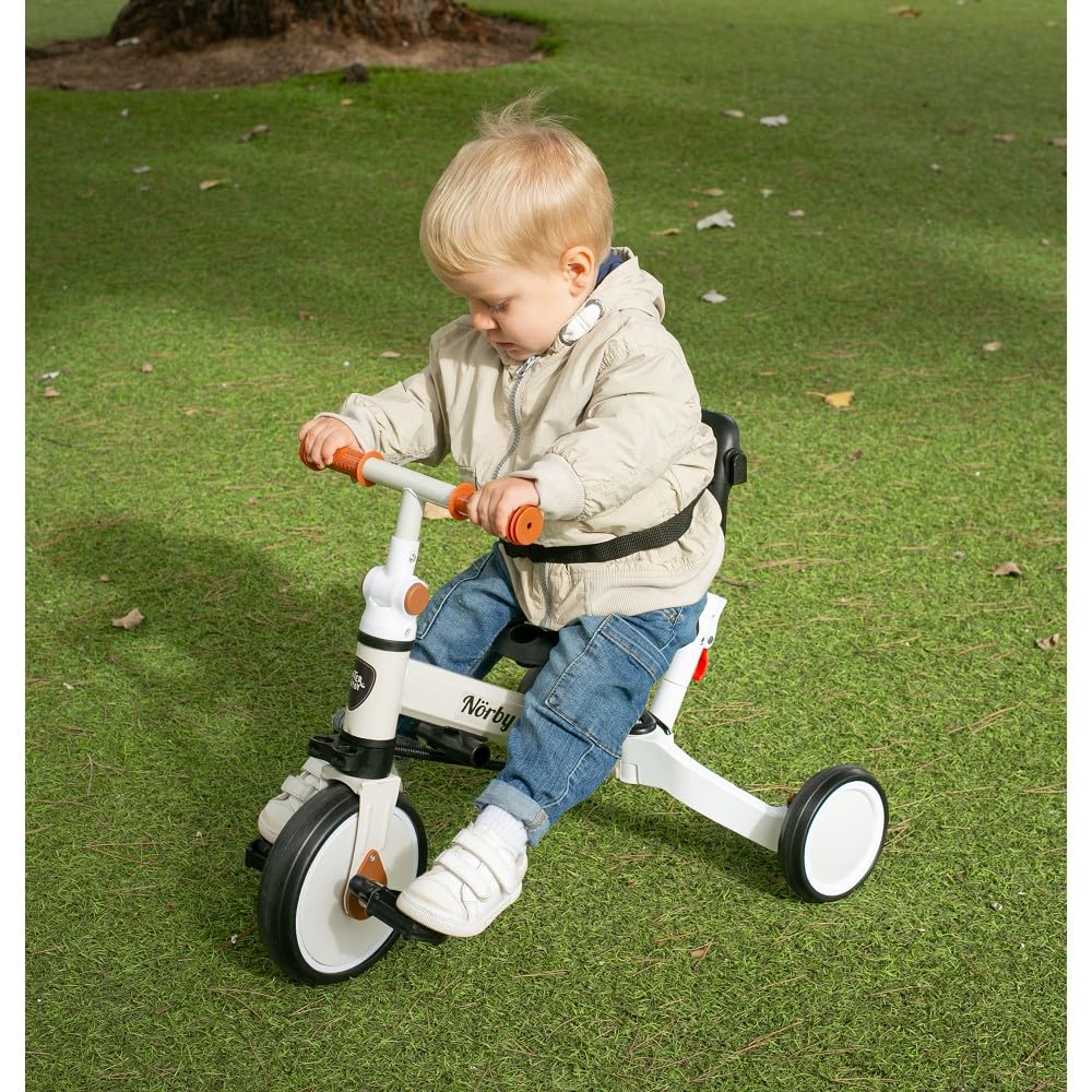 Interbaby Norby: 5 in 1 Dreirad und Laufrad mit Verdeck, 1 bis 5 Jahre