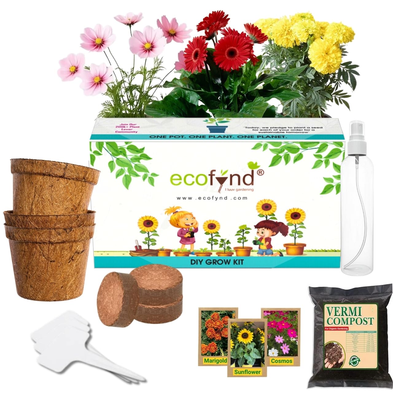 ecofynd 3 in 1 DIY Growkit for Marigold, Sunflower and Cosmos Mix, Complete Gardening Experience, Gardening Kit for Home and Garden, Best Return Gift For Kids Birthday Party-picture-0
