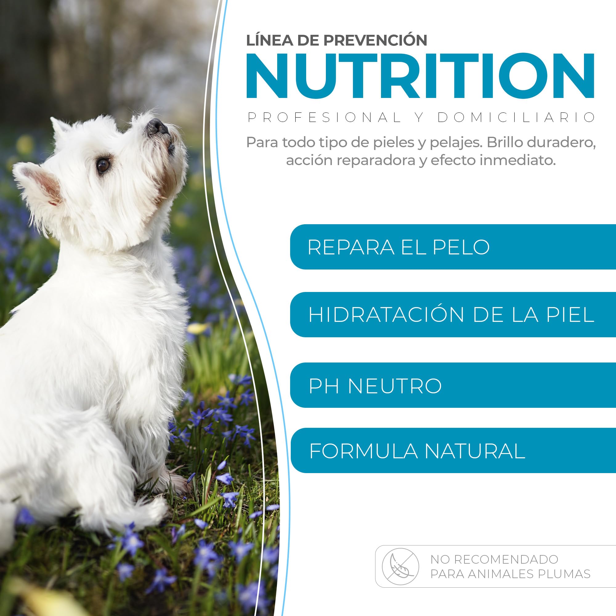 PUREZA PET Champú Nutrition Pro Hipoalergénico 1L - Línea Profesional - Nutrición y Reestructuración del Pelo de Perros y Gatos - Vegano, Sin Parabenos, Silicona y Sulfatos