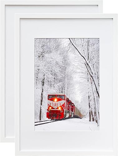 Egofine Juego de 2 marcos de fotos A2 mate para A3, parte delantera de plexiglás acrílico de madera maciza para montaje en pared vertical u