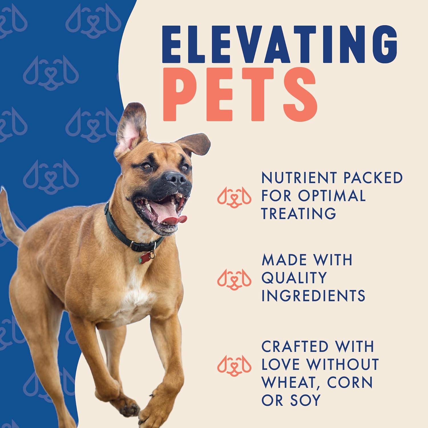 Finley's Salmon Hearty Bites, Soft & Chewy Treats for Dogs, Nutrient Packed, Sweet Potato & Flax Seed,12oz, 2 Pack