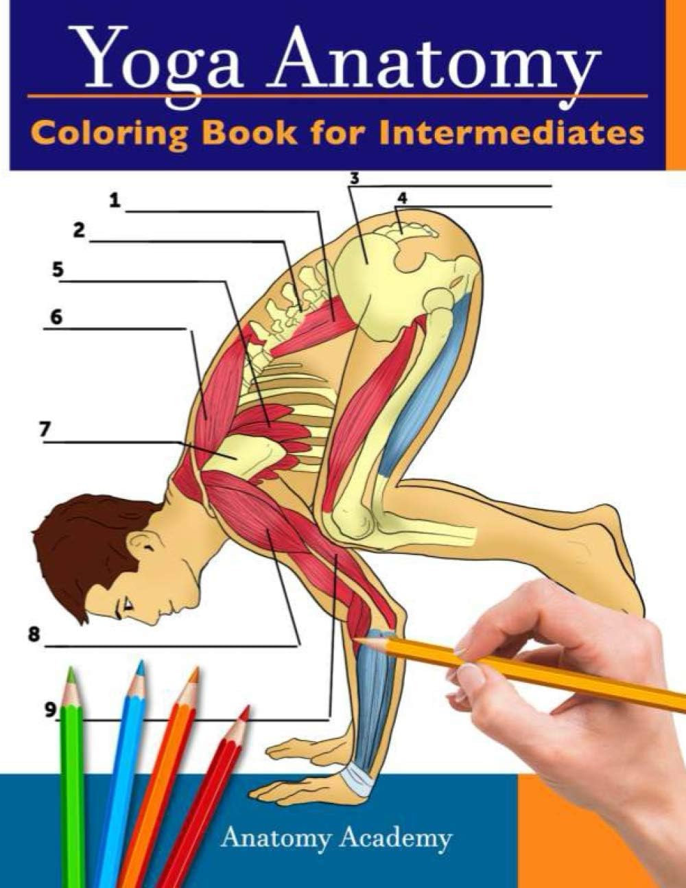 Yoga Anatomy Coloring Book for Intermediates: 50+ Incredibly Detailed Self-Test Intermediate Yoga Poses Color workbook Perfect Gift for Yoga Instructors, Teachers & Enthusiasts