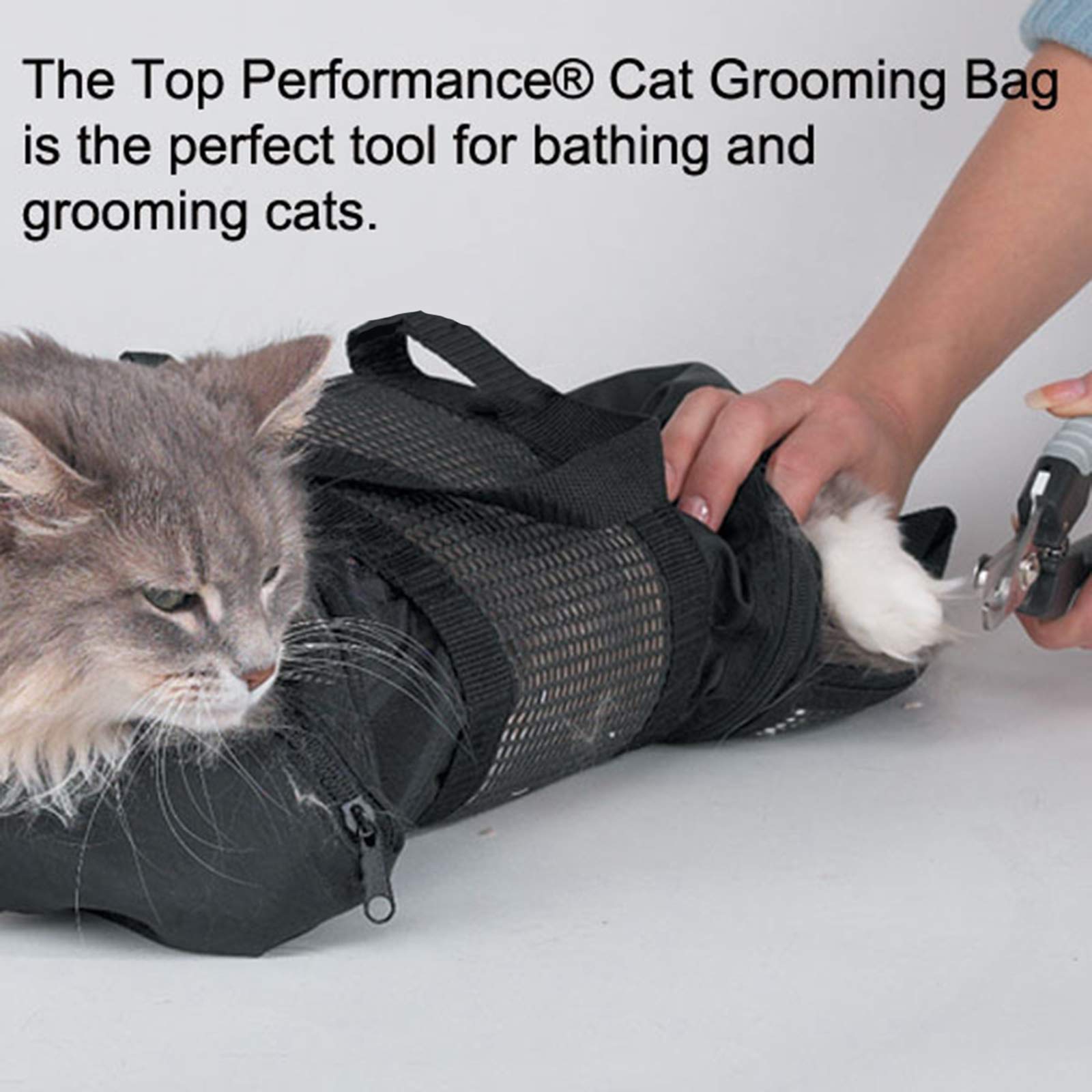 Cage De Toilettage Et Bain Pour Chat - En Métal Grillagé - Tailles S, M, L - Pour Bain, Coupe Griffes, Soins - 8