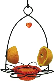 Birds Choice Flower Oriole Bird Feeder Small Orange - coolthings.us
