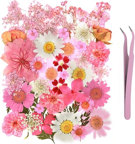 Miniatura 8 de 104 flores secas prensadas naturales de resina, flores secas para accesorios de resina, flores secas para álbumes de recortes, manualidades, moldes