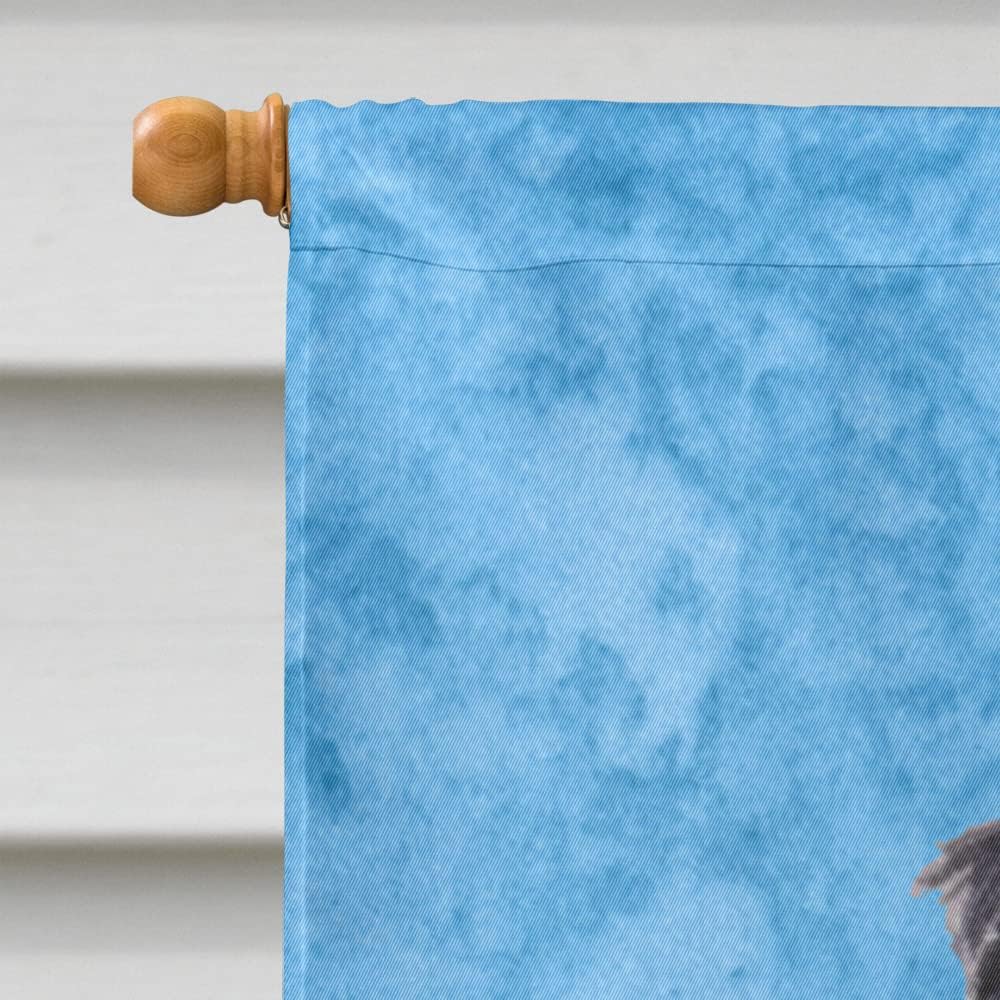 Caroline's Treasures SS4156CHF Schnauzer Flag Canvas, Large, Multicolor