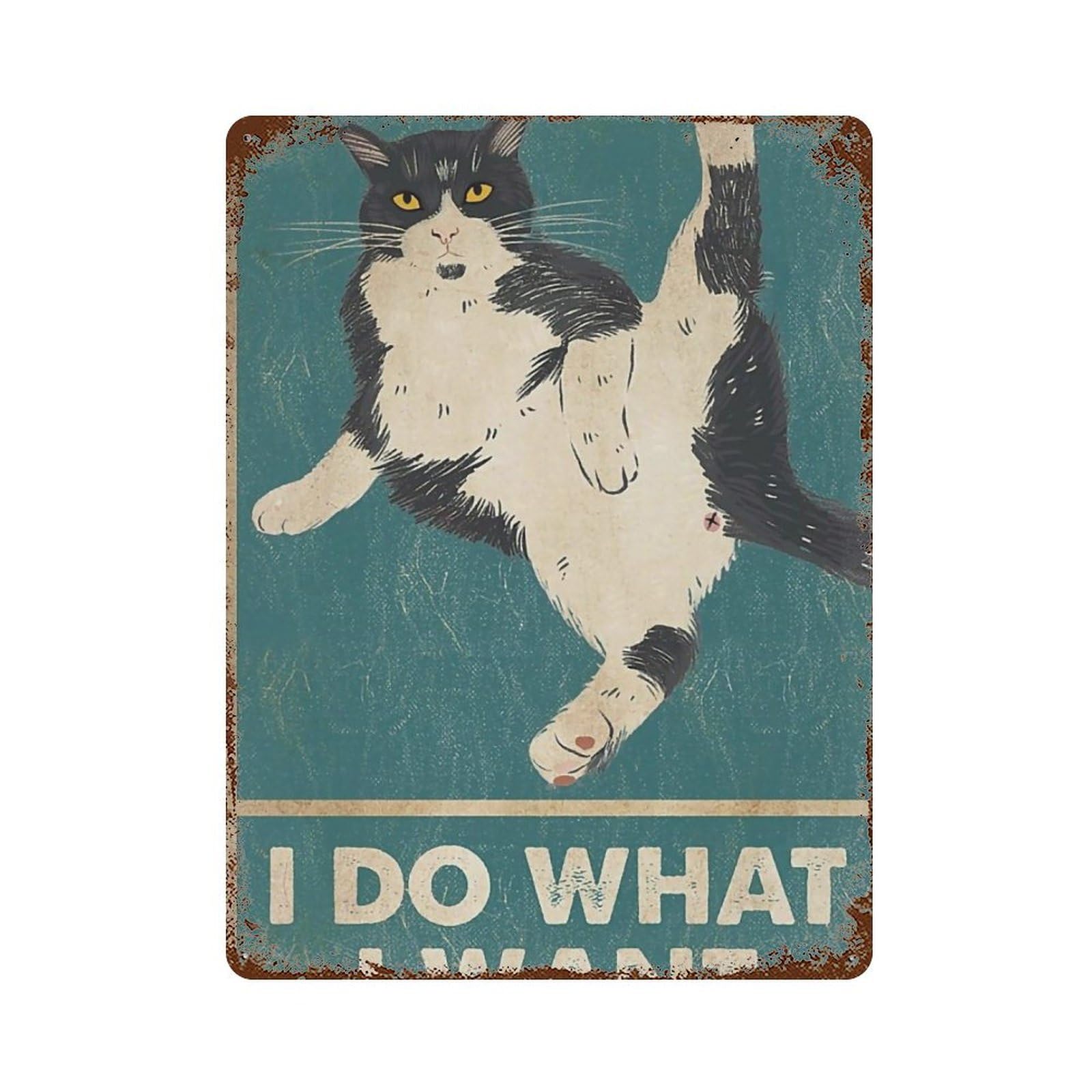 YHGERTKU Funny Retro Cat 4 Wall Art Retro Iron Vintage Metal Tin Sign Poster Modern Decor for Living Rooms Gift 40x30cm