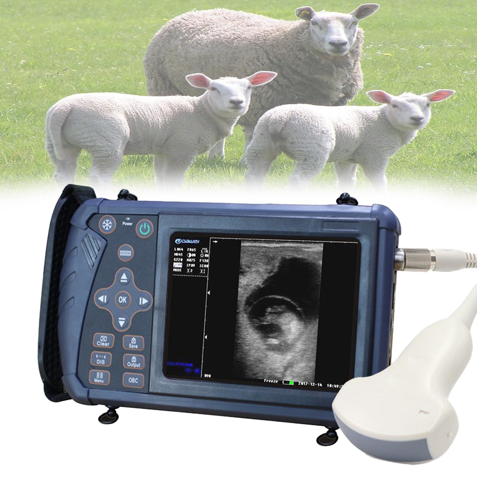 Analizzatore portatile di ultrasuono con la sonda convessa per la diagnostica veterinaria