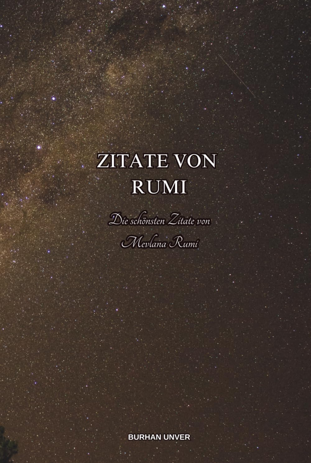 Zitate von Rumi: Die schönsten Zitate von Mevlana Rumi