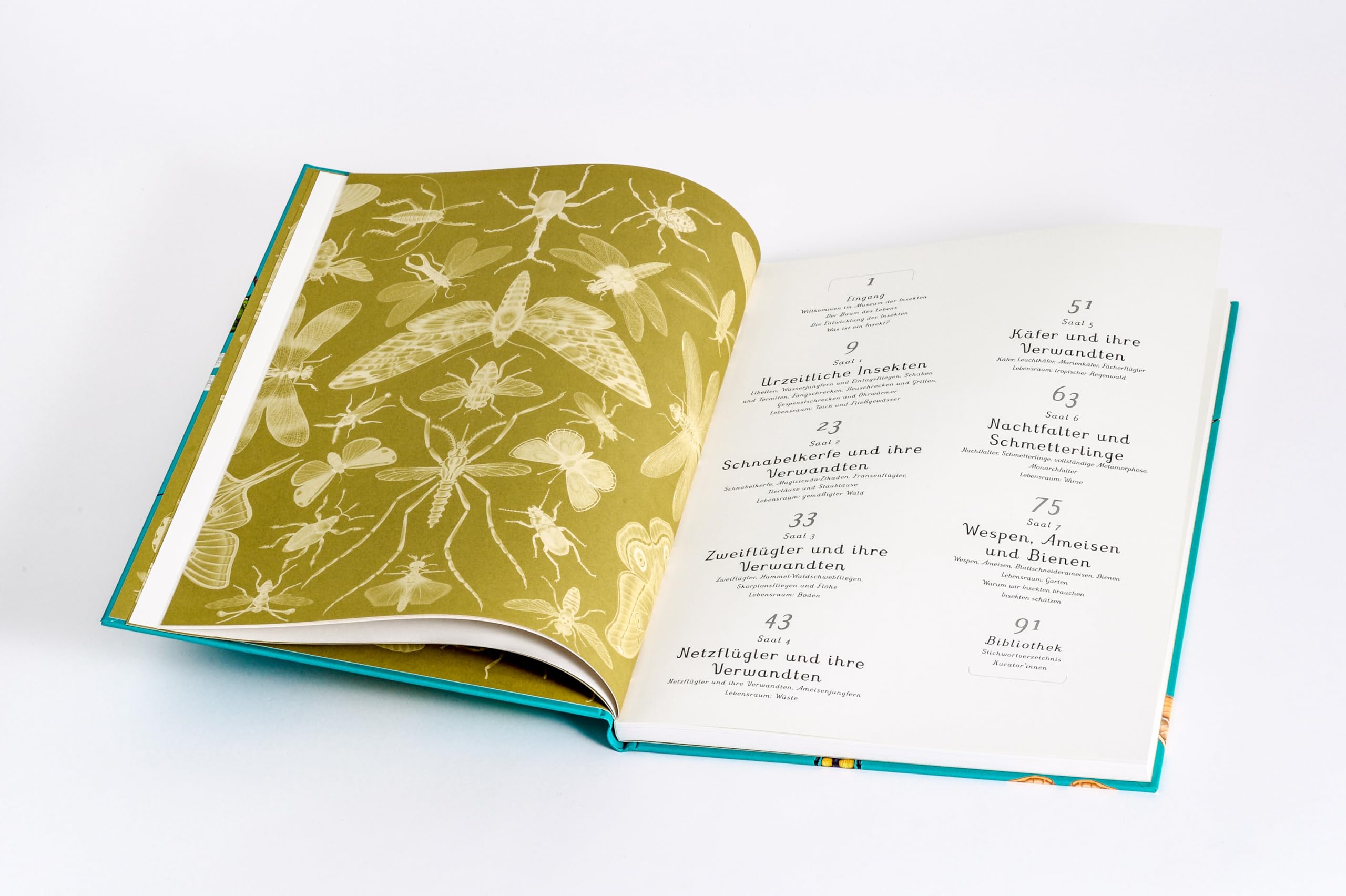 Das Museum der Insekten: Eintritt frei! - Sachbilderbuch im Großformat für Kinder ab 8 Jahren mit faszinierenden Illustrationen von Emily Carter: 16