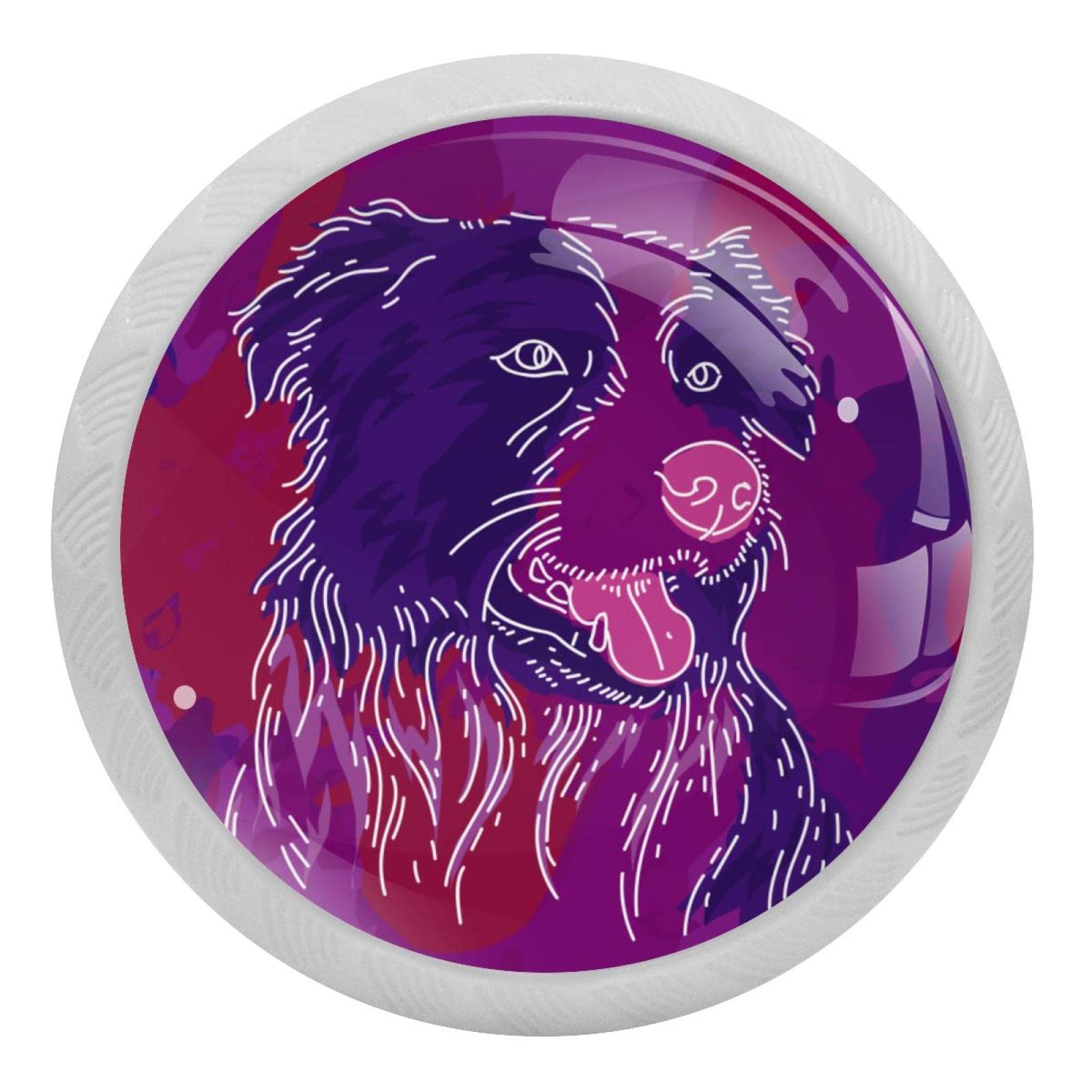 Bouton de tiroir en verre fluorescent Border Collie pour une cuisine élégante x4