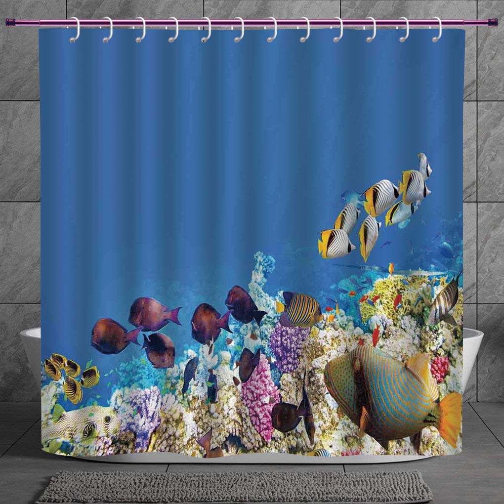 SCOCICI Funky Shower Curtain 2.0 [ Ocean,Fish Schools Swimming