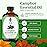 SVA Camphor Essential Oil - 4 Fl Oz - 100% Natural Camphor Oil - for Diffuser, Hair Care, Face, Skin Care, Aromatherapy, Scalp and Body Massage, Soap and Candle Making - with Dropper