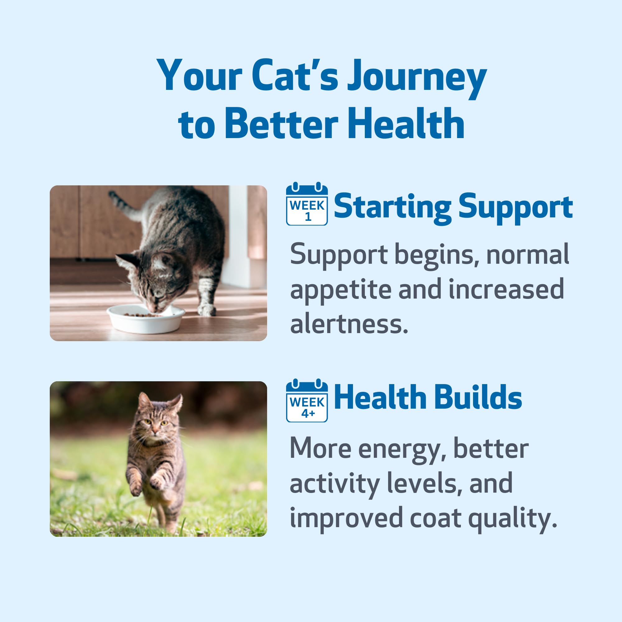 Pet Wellbeing - Milchdistel Für Katzen - Natürliche Unterstützung Für Katzen Der Gesundheit Der Leber - 2 Unzen (59 Ml)