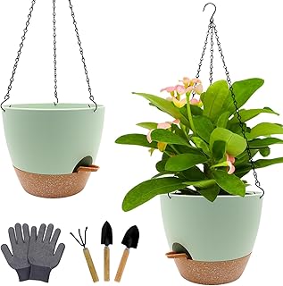 Beyoogeem 10 Inch Hanging Planters, 2 Pack Self Watering Hanging Planters for Indoor Plants with Drainage Holes and Deep Reservoir, Hanging Pots for Plants Indoor Outdoor Garden Home Decor,Green