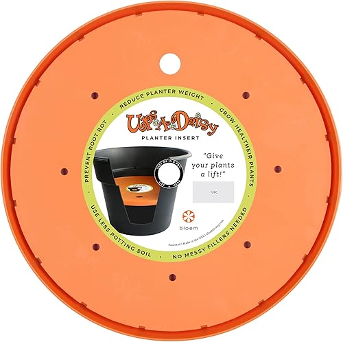 Bloem Ups-A-Daisy - Inserto para maceta redonda 13 pulgadas, color naranja, disco de resina duradero, agujeros de drenaje, colócalo dentro de una
