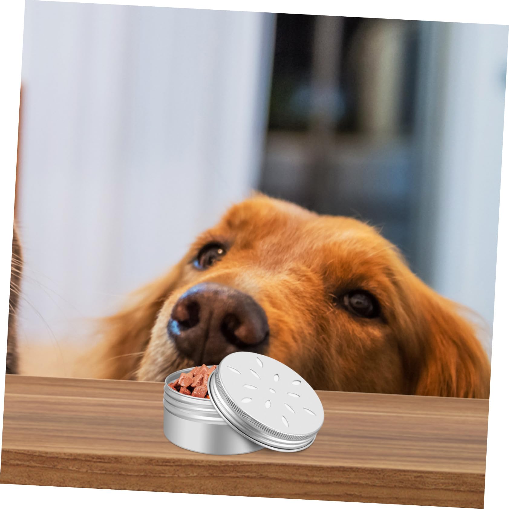Caja de Entrenamiento de Olfato y 12 Puntos Magnéticos para Perros con 12 Latas de Aluminio Diseño Duradero y Fácil de Usar para Adiestramiento Canino
