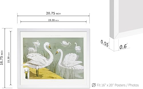 Miniatura 293 de Poster Master Póster vintage de flamenco americano, estampado retro de flamenco rosa, arte de pájaro, regalo para él, ella, amante de los animales,