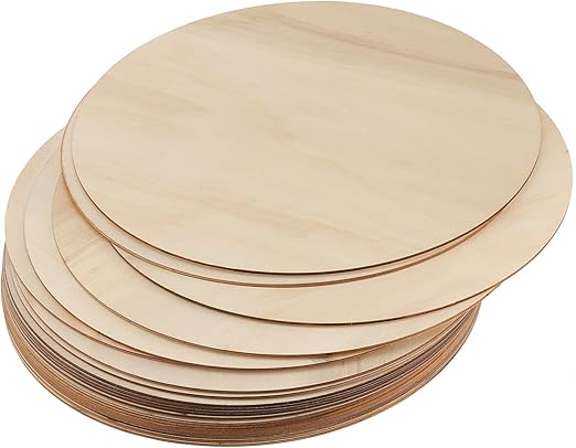 20 Pcs 12 Inch Wood Discs for Craft, Unfinished Wood Circle, Wooden Rounds Cutouts for DIY Craft, Painting, Decoration Door, Wedding
