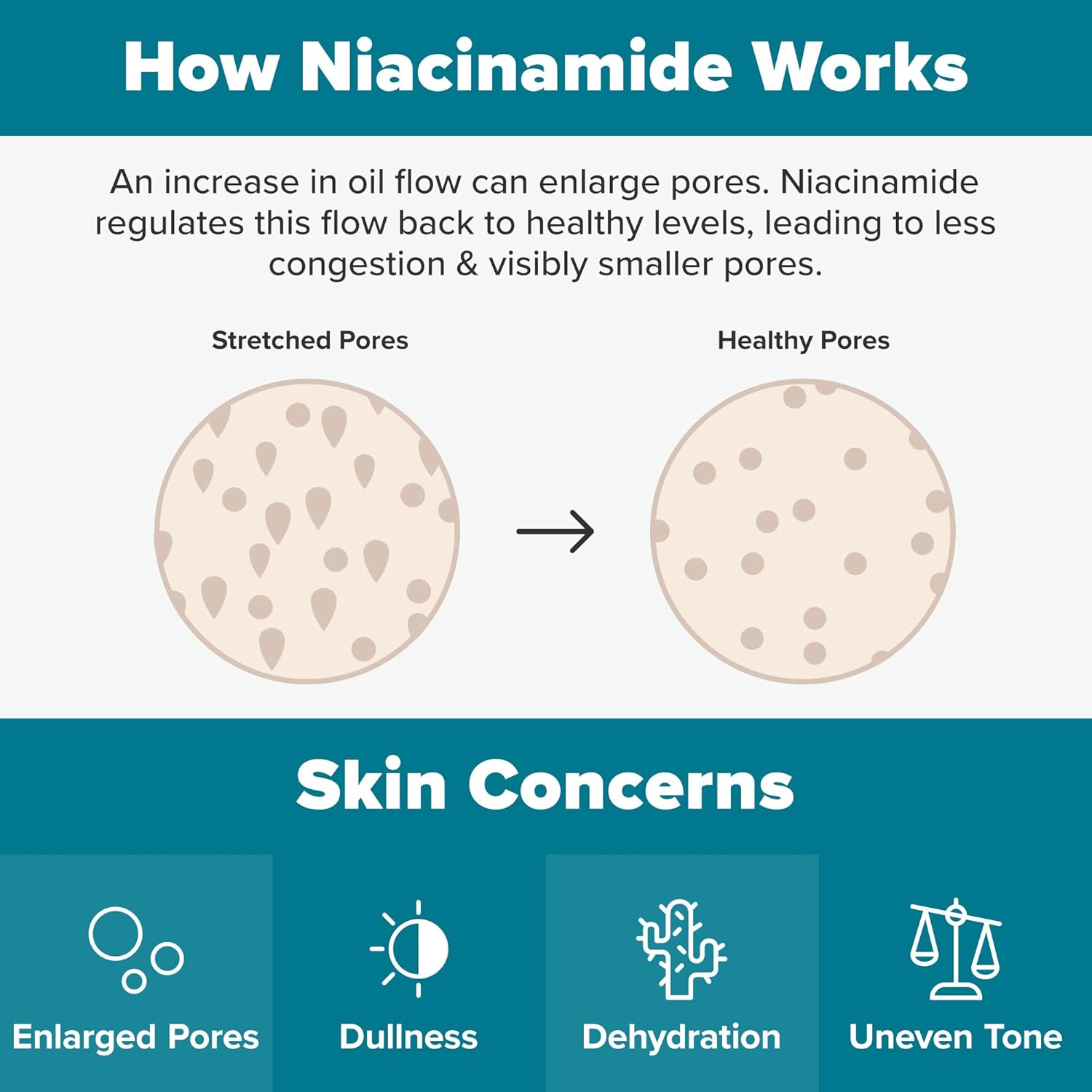 Paula's Choice SKIN BALANCING Pore-Reducing Face Toner with Niacinamide, for Oily Skin & Combination, Minimizes Large Pores, Controls Oil & Shine, Hydrates & Replenishes, Fragrance-Free - Image 4