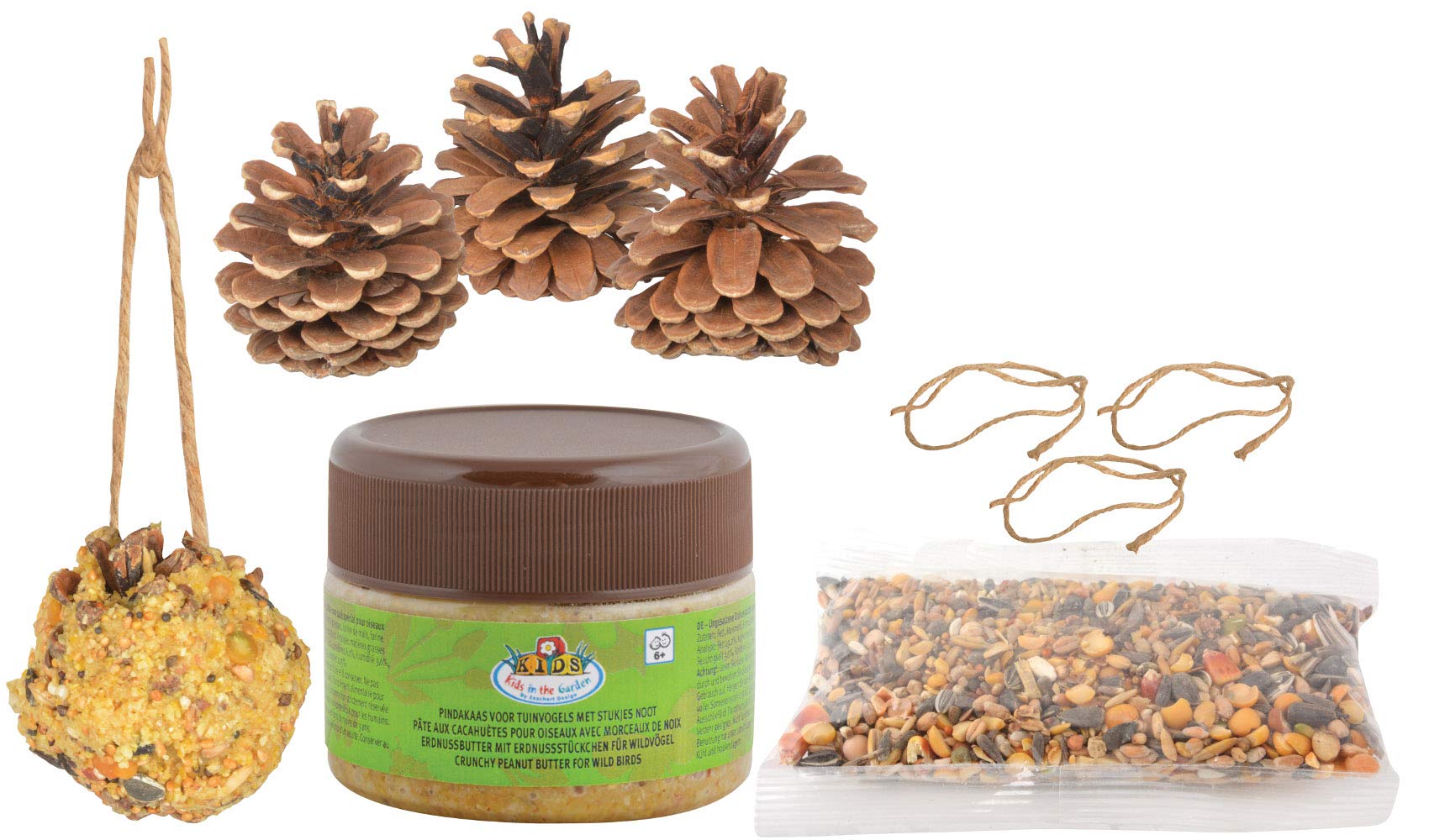 Fallen Fruits Ltd DIY Bird Food Pinecone