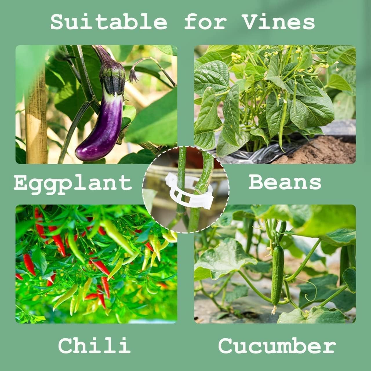 Plant Support Clips for Garden Trellis, Vine and Tomato Plants, White Plastic, 200-Pack