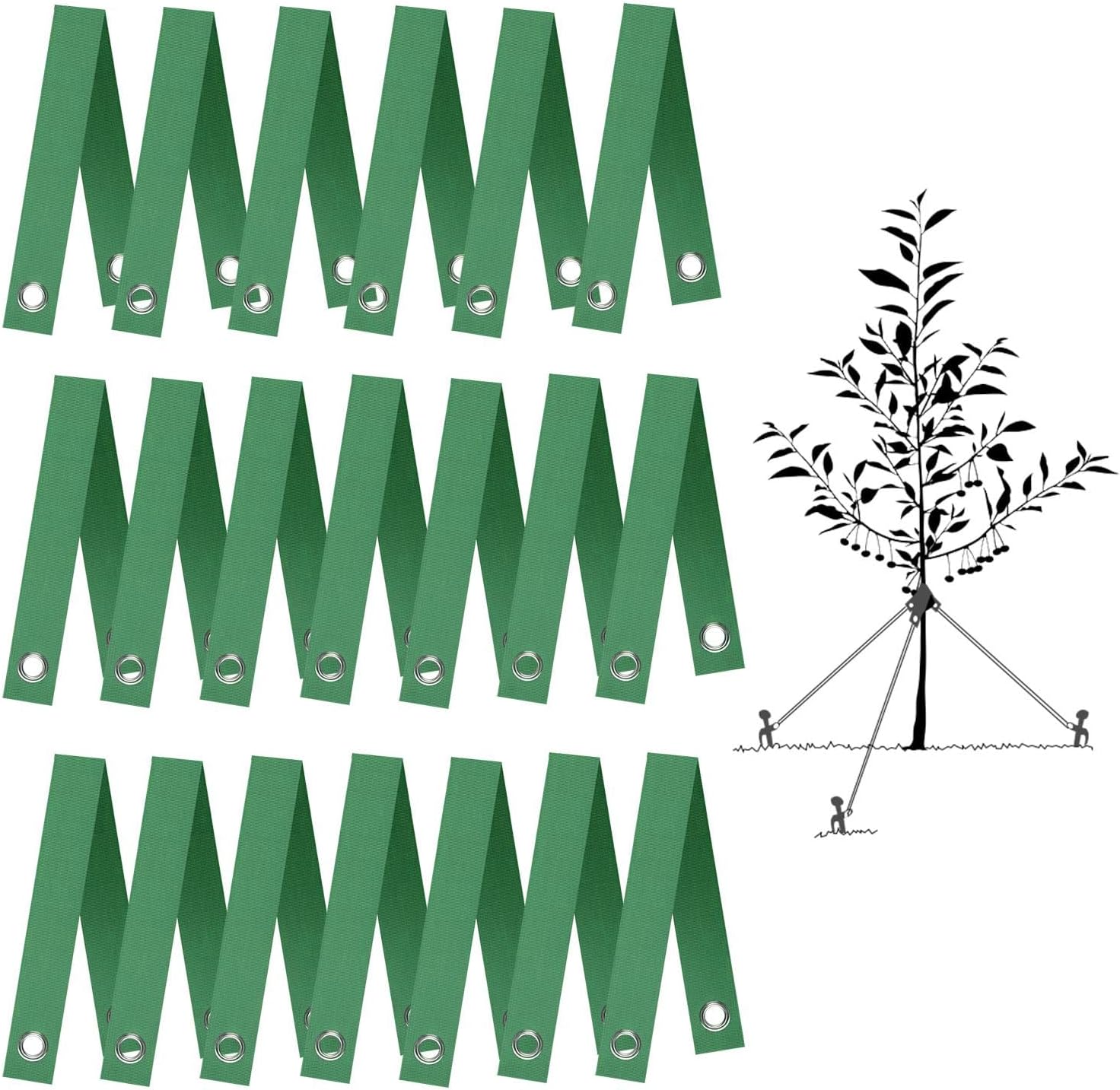 Tree Straps for Staking, 40 PCS Tree Support Straps for Newly Planted Saplings and Hurricane Protection, Tree Straightening Ties
