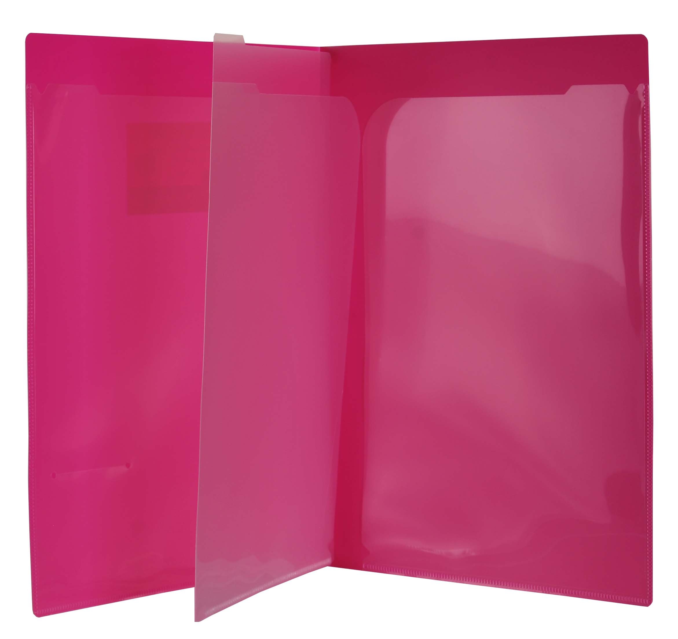Filexec Products 4 Pocket Port/Folder, Assorted, Pack of 6 (50373-3140)