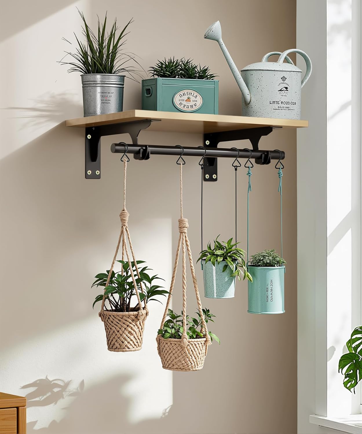 https://m.media-amazon.com/images/I/71hD+Mqy9mL._AC_SL1500_.jpg