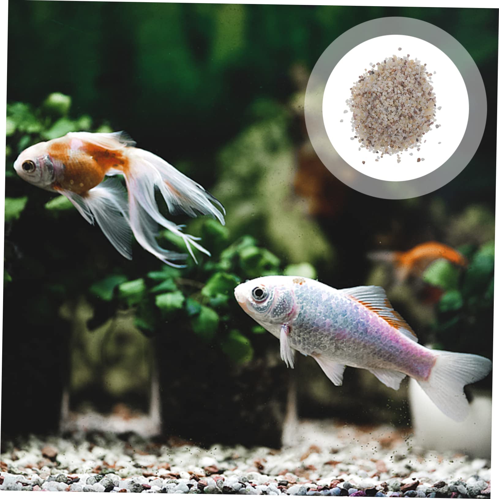 Cabilock 1 Juego Grava De Acuario Mini Grava para Paisajismo Coral Triturado para Acuario De Agua Dulce Piedra Decorativa Jardín Pecera Guisante Arena Perlada Plantas Acuáticas