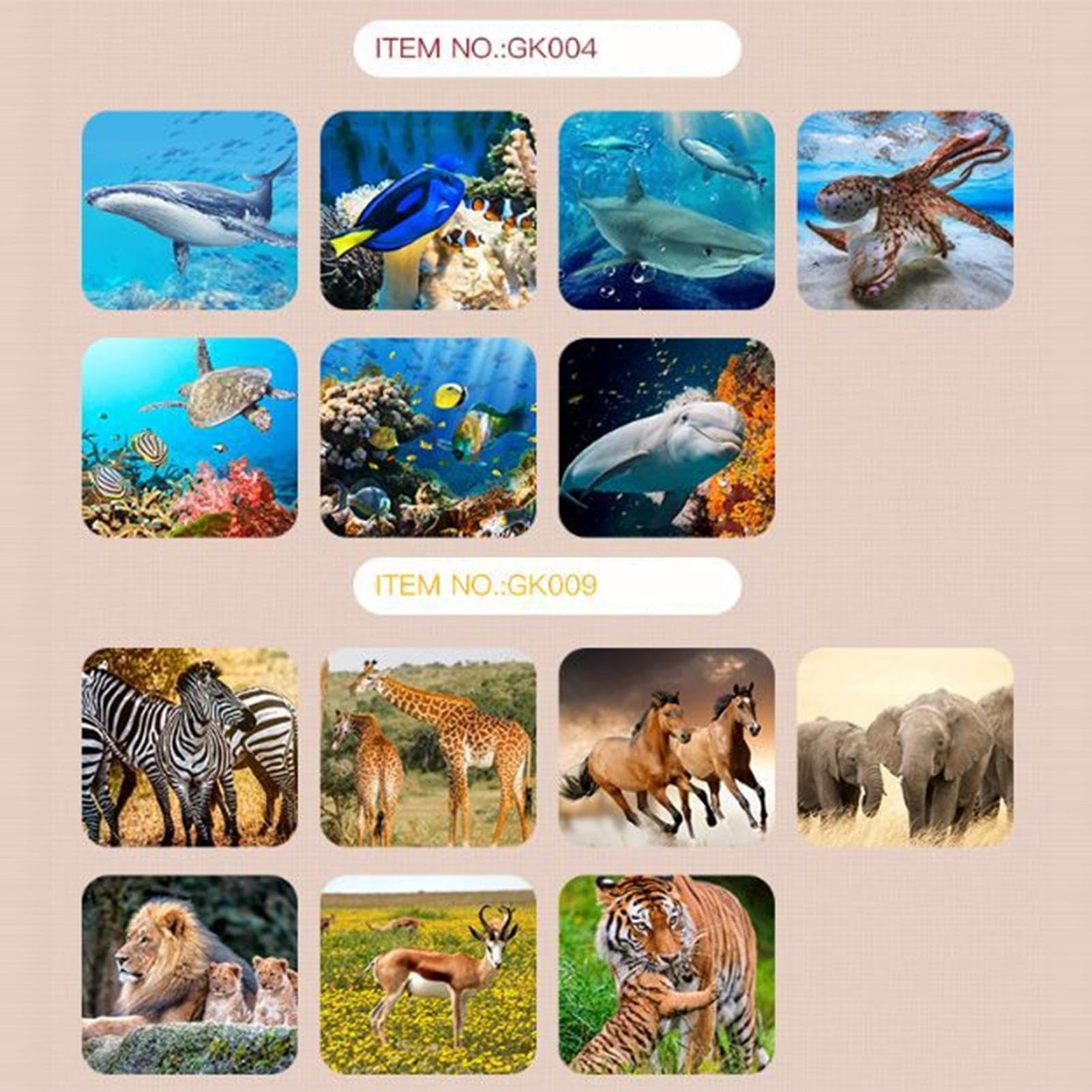 Visionneuse 3D Stéréoscopique Enfant – Avec Diapositives Dinosaures – Projecteur Portable – STEM – Dès 3 Ans