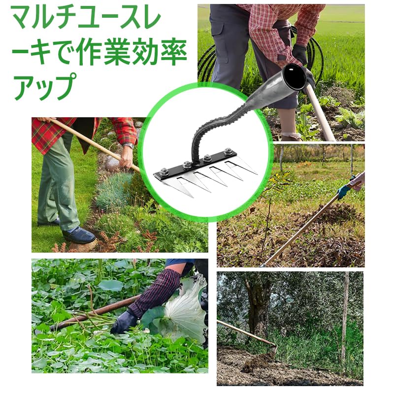 Amazon.co.jp: 【最新 庭の雑草熊手 除草くわ ステンレス製 5/6/7/8歯